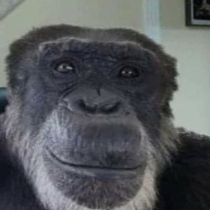 Daniel (retired) Laine